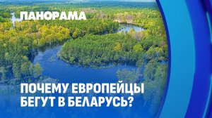 Беларусь — идеальное место для жизни: истории переехавших иностранцев. Панорама