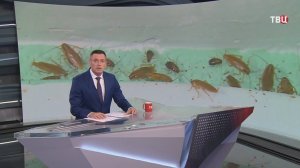 Пенсионер из Уфы, коллекционирующий мусор, превратил жизнь соседей в ад / События на ТВЦ