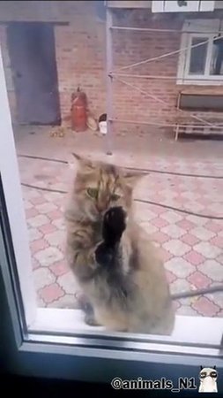 VID_20250801_161549_531.mp4
