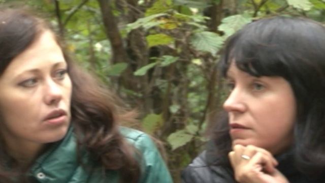 Фильм Блогер. Во все дыры