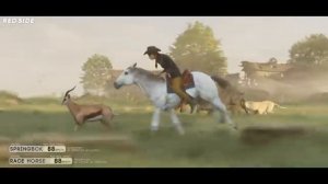 SPEED COMPARISON 3D | Animals