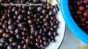 какой вырос, такой и чищу. мелкий крыжовник. будет на зиму компот