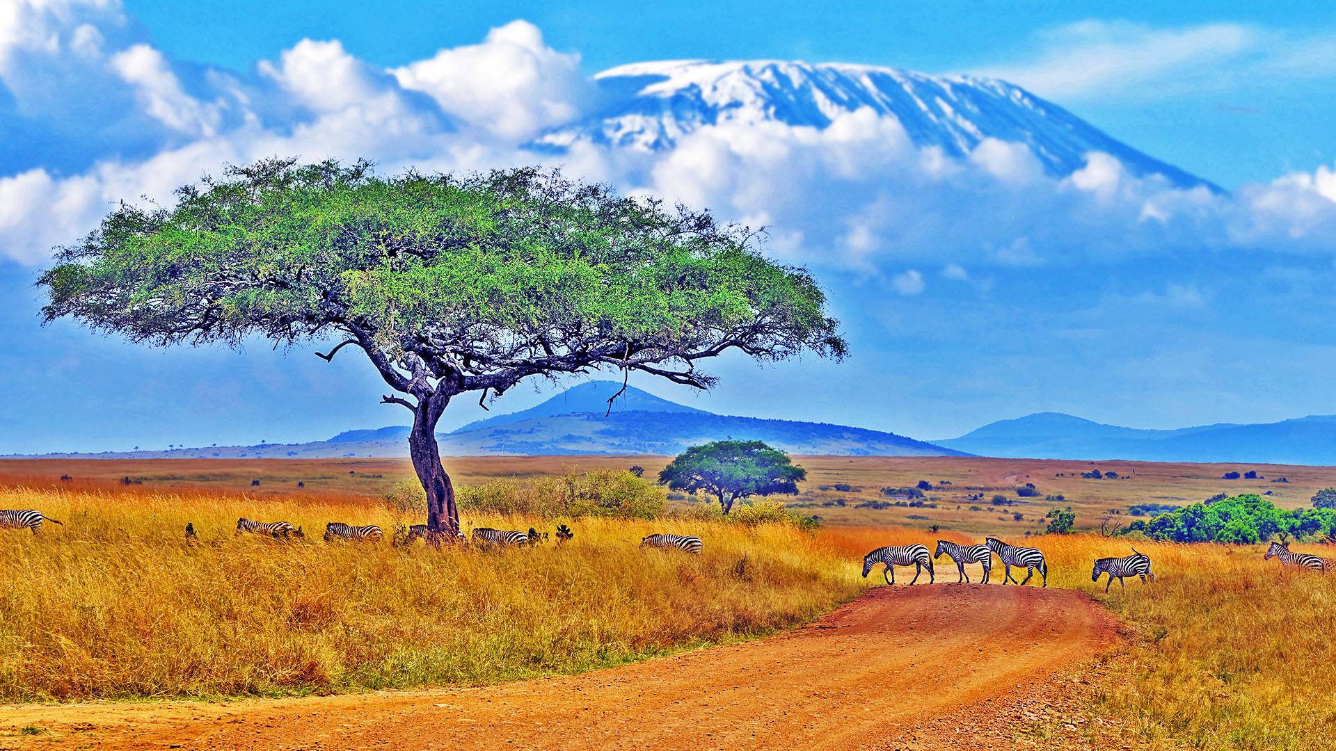 Чудеса Африки! Земля контрастов и древних цивилизаций. смотреть онлайн