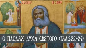 О плодах Духа Святого (Гал.5.22-24)