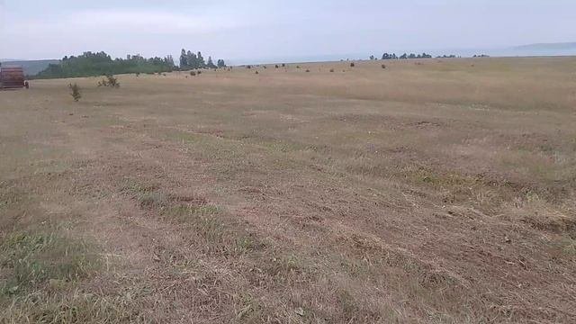 Трактор🚜 Беларус МТЗ-82 прессует сено в рулоны. 31 июля 2025 год