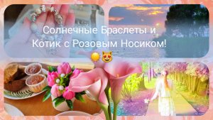 Релакс и Творчество: Браслеты, Солнце и Милый Котик! ✨