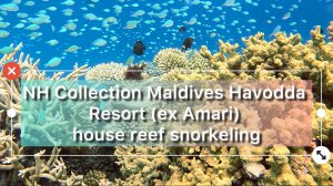NH Collection Maldives Havodda Resort (ex Amari Havodda) house reef snorkeling, июль 2025