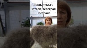 Пуховые ажурные жилет,кофточка,платок,косынка,плед берет,шапка,шарфы,косынки,пелерина,варежки,носки