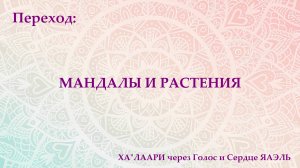 Переход: о Растениях и Мандалах