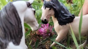 Мини-шляйх фильм   ,, Крапива "