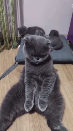 Устала😄