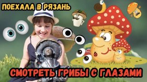 Отдыхаю в Рязани. Часть первая. Кремль и настоящий курорт