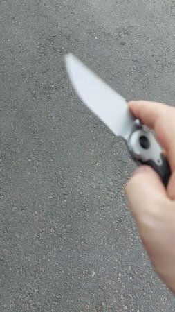 Бодрый Флипп