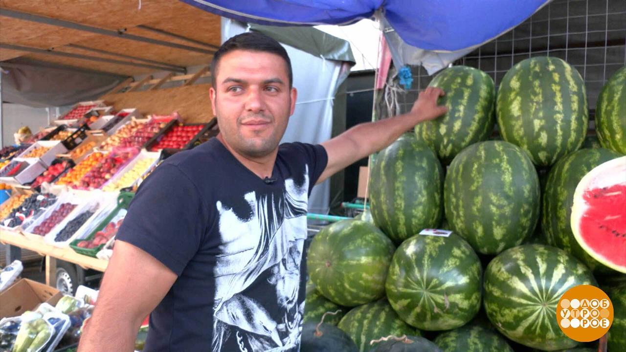 Кому арбуз? Всем! Доброе утро. Суббота. Фрагмент выпуска от 02.08.2025