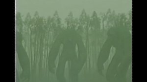 Backrooms 4 - Level 23 "Petrified garden"