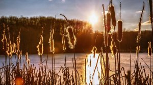 С добрым утром новым днем пожелания красивые 🌞