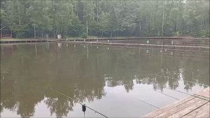 Осетр сменил дислокацию. Клёвое место, Лосиный остров.