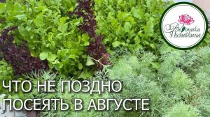 ЧТО ПОСЕЯТЬ В АВГУСТЕ