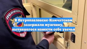 В Петропавловске-Камчатском задержали мужчину, пытавшегося нанести себе увечья