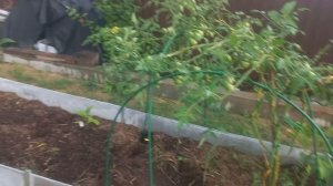 Дом Покрыт Железом , Жизнь в Деревне,  Дом строиться а мне грустно .