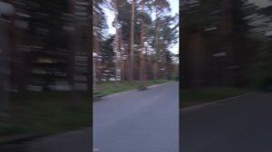 Дожди не заканчиваются. 🌦️ наконец то август пришел. Святые Петр и Феврония.