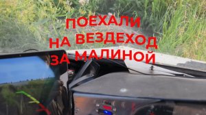 На Вездеходе по Полям. Малины пособирал Варенья Сварил