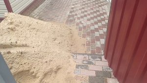 В Ильин день на даче.