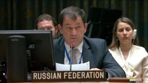 Полянский упрекнул страны Запада в политизации кризиса на Украине