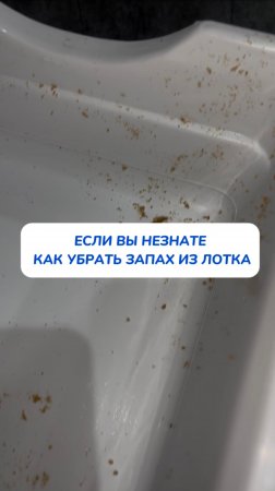 Запах от лотка? Есть решение