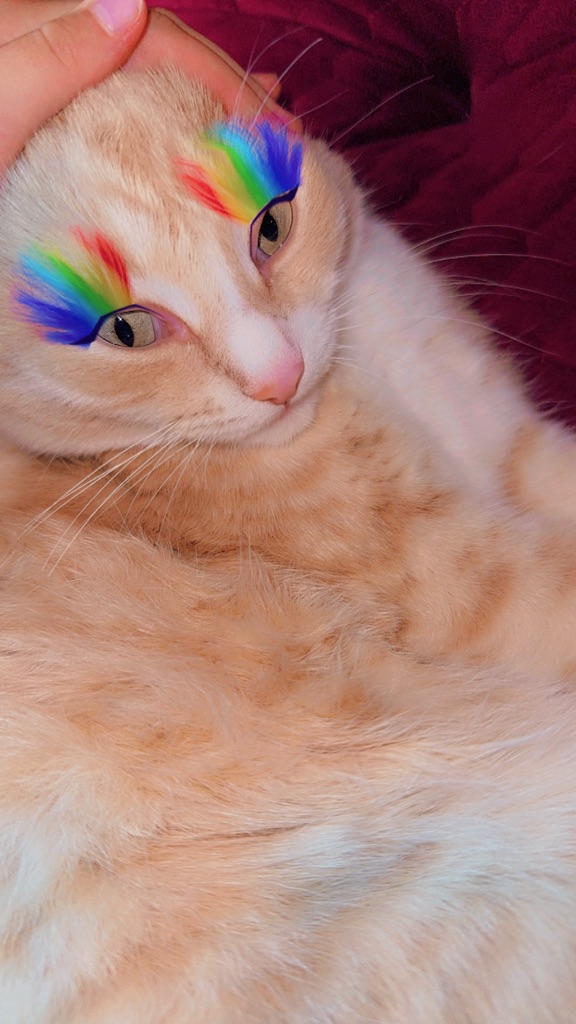  песня подтанцовка