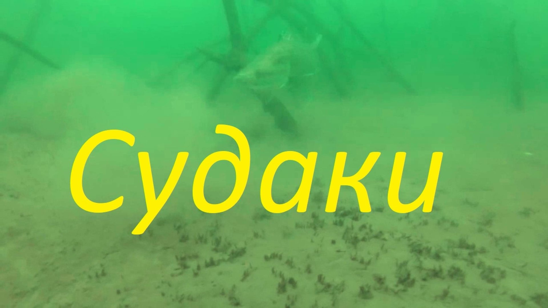 Подводная охота на судака. смотреть онлайн
