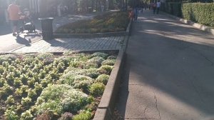 Любимый Шансон. Песни для души. Хорошее впечатление от парка.. , отличное место отдыха.