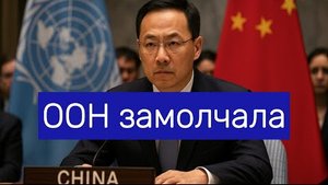 ООН замолчала  Китайский дипломат уничтожил обвинения — одной фразой
