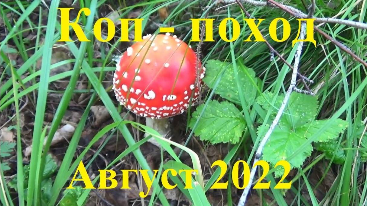 Коп-поход. Август 2022