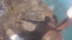 Рыбалка - Много рыбы на самодельную леску - Часть 8 -- Fishing - Many fish on a homemade line - Pt8