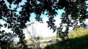 Поговорим о будущем, о погоде и садоводстве в Сибири