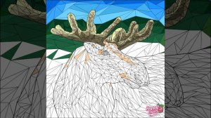 Животные 511-520