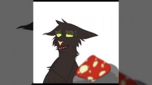 анимация,коты воители