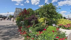 Москва | тверская | прогулка по москве | москва2025