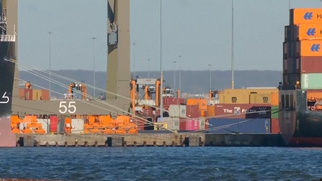 «Торговля США и Китая выгодна обеим странам»