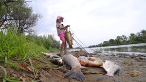 КУЧА РЫБЫ, С НОЧЁВКОЙ. РЕБЁНОК ЛОВИТ САЗАНА С ПАПОЙ. ЛОВЛЯ РАКОВ. Рыбалка на закидушки и поплавок.