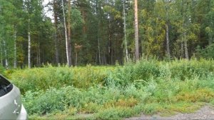 20250802_120511 Едем на мою малую родину. Первая остановка в пути
