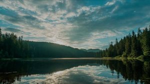 ИИ. Зов тишины (акустика)