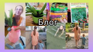Проверяю Аккумуляторный Опрыскиватель/Идём Купаться/Пересадила Цветок и сажаю укроп