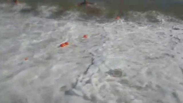 Судак Море