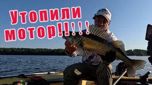 БУДНИ ПОДВОДНОГО ОХОТНИКА! НАШЁЛ ОГРОМНЫХ СУДАКВ! ТЕСТ СПИННИНГА RONIN RUSH SONIC INSURGENCY (802H)