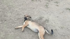 Херсонщина 2 августа 2025 года