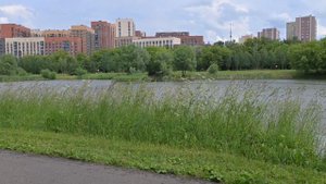 Саша Солнцева - Спокойно ( Cover by SergS )