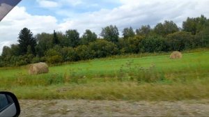 20250802_143933_001 Сено бурёнкам накошено