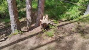 Удмуртия, гора Байгурезь, природное джакузи